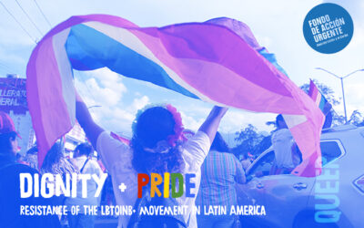 Dignity + Pride: Resistance of the LBTQINB+ movement in Latin America