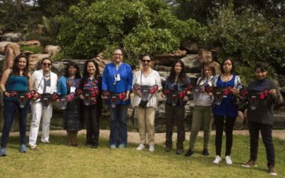 Feminist voices and experiences opening spaces for civil society