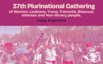 Against Fascism: Feminist Organizing Plurinational Gathering in Argentina