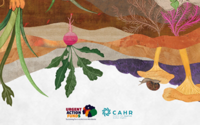 Resourcing strategies in an age of permacrisis: critical lessons from feminist philanthropy