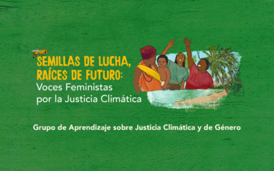 Seeds for transformation, roots for the future: Feminist voices for climate justice